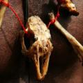 Benin: Voodoo Rituals to Calm the Spirits