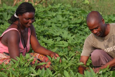 The African Green Revolution Forum focused on promoting investments and policy support for driving agricultural productivity and income growth for African farmers in an environmentally sustainable way.