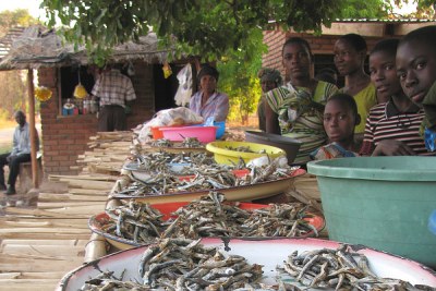 As crops fail due to climate change, people are relying more heavily on fish for survival.