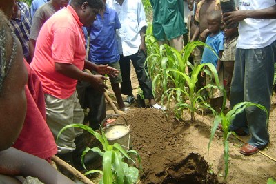 Villagers receive training on techniques for planting trees and shrubs alongside crops, as a cheap, sustainable way to improve soil fertility and increase crop yield (file photo).