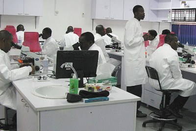 Nigerian lab technicians.