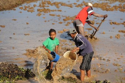 A family prepares a rice field for planting in the Madagascan capital of Antananarivo.
