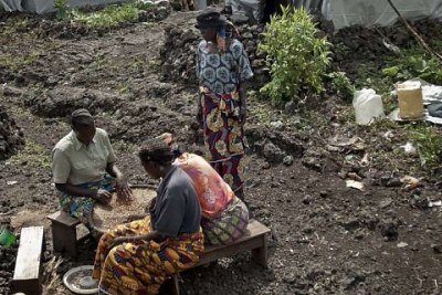 Des femmes déplacées trient des haricots devant leurs abris au camp de Mugunga III. Le HCR est inquiet pour la sécurité dans les camps.