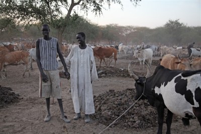 File photo of cattle herders outside Abyei.
