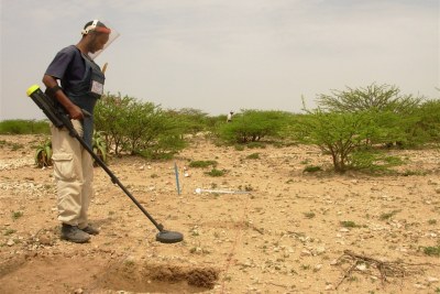 (Photo d'archives) - Les mines antipersonnels continuent de faire des victimes en Casamance, au Sud du Sénégal