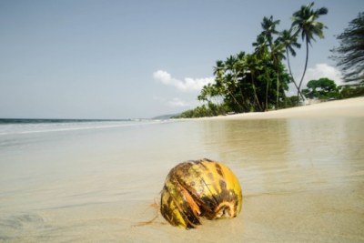 Des plages à la quête de touristes au Sierra Leone - archive
