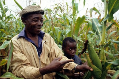 Maize farmer and his son show off their high-yielding maize variety.