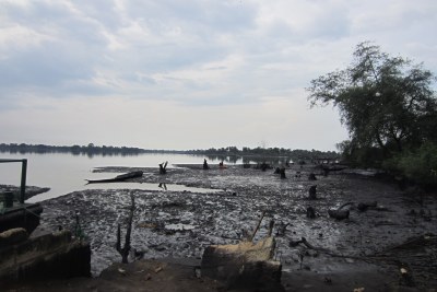 The oil pollution is visible in the water, along the mangroves, and in the soil (file photo).
