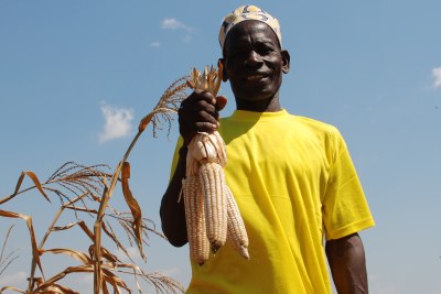 “Without good quality maize seed, you cannot earn enough, you cannot have life!
