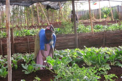 Dwindling land access in Ethiopia is a critical issue for 80 percent of the population who make a living as small farmers.