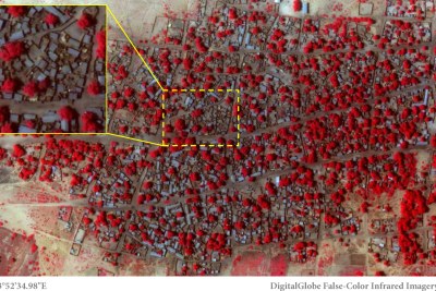 Satellite image of the village of Doro Baga in north-eastern Nigeria taken on 2 Jan 2015.

Shows an example of the densely packed structures and tree cover in Doro Baga before the village was razed by Boko Haram.