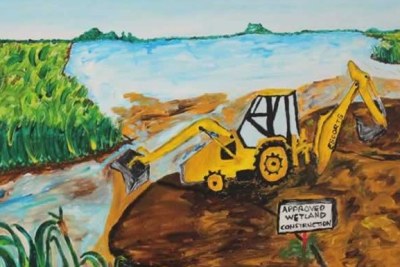 Zimbabwe Art - 'The Vanishing Wetlands'