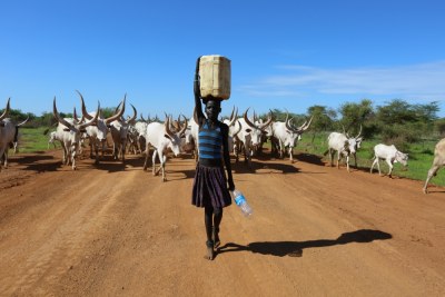Mangala girl fetches water (file photo).