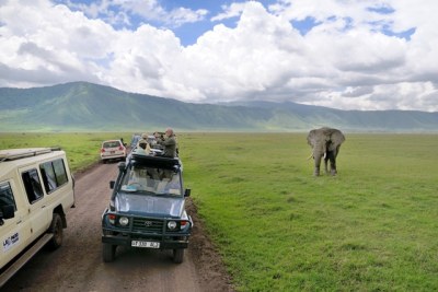 Safaris in Tanzania.