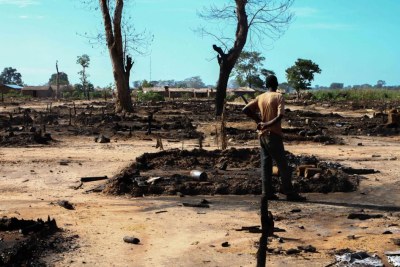 A man checks his burnt farm (file photo).