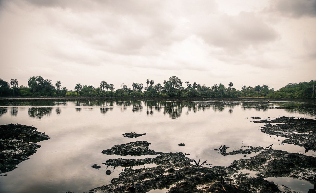 Nigeria: Niger Delta Is Rich in Resources, but Environmental Destruction Is Pushing People Into Poverty