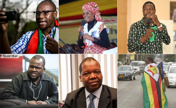 Activists in Zimbabwe Challenge Mnangagwas Presidency 