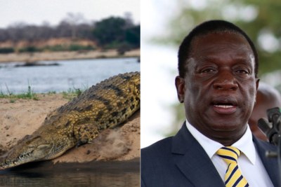Former vice president Emmerson Mnangagwa also known as 'Ngwena' meaning crocodile (file photo).