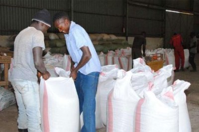 Farmers weigh maize at a National Cereals and Produce Board depot in Elburgon, Molo (file photo).