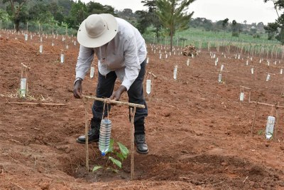 President Museveni demonstrates how to use mineral water bottles for irrigation at one of his farms.