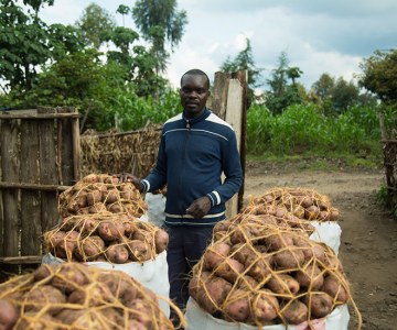 Irish Potato Growing Turns Rwandan Into a Multimillionaire