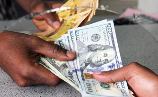 Uncertainty As 52 Forex Agents Remain Closed In Tanzania Allafrica Com - 