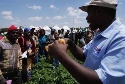 Farmers receive training on how to produce potatoes for processors at the Ol Jorok Agriculture Training Center in central Kenya, March 3, 2017.