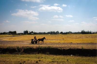A farmer drives through his fields near Goticha, a small village facing demolition to make way for the expansion of the nearby Eastern Industrial Zone, on December 8 2017.