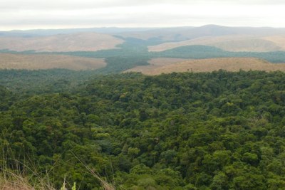 Illustration - Le parc national du Plateau Batéké est situé à la transition des habitats forestiers et des savanes. Il offre une vue imprenable sur de petites étendues de forêt le long de la rivière Mpassa qui s'étendent dans la savane.