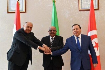 Crise libyenne: concordance de vues entre l'ONU et les pays voisins sur la solution politique