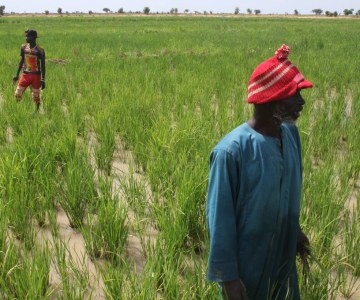 Mali Villagers Enlist Irrigation to Ward Off Extremism