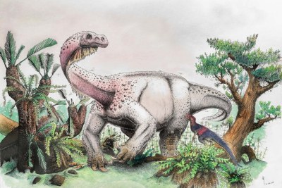 The dinosaur Ledumahadi mafube - reconstructed in this illustration - made headlines in 2018.