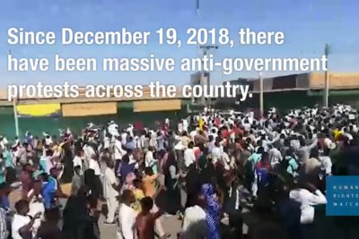 Depuis la mi-décembre, les manifestants sont descendus dans les rues de villes et villages du pays pour protester contre les hausses de prix et demander au président Omar al-Bashir, au pouvoir depuis 29 ans, de se retirer. Les manifestations ont commencé à Atbara et se sont étendues à d'autres villes, notamment Gedarif, Wad Madani, Port-Soudan, Dongola, El Obeid, El Fasher, Khartoum et Omdurman.