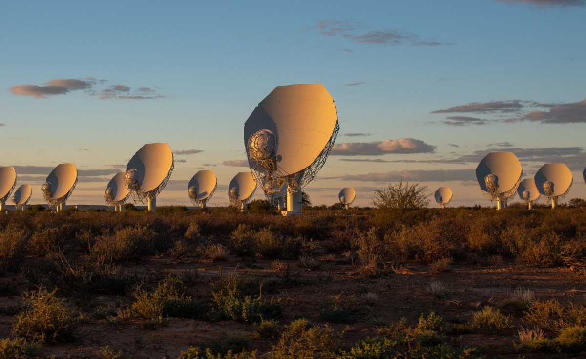 South African Radio Telescope Reveals Intergalactic Cosmic ...