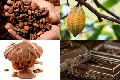 Cocoa products (file photo).