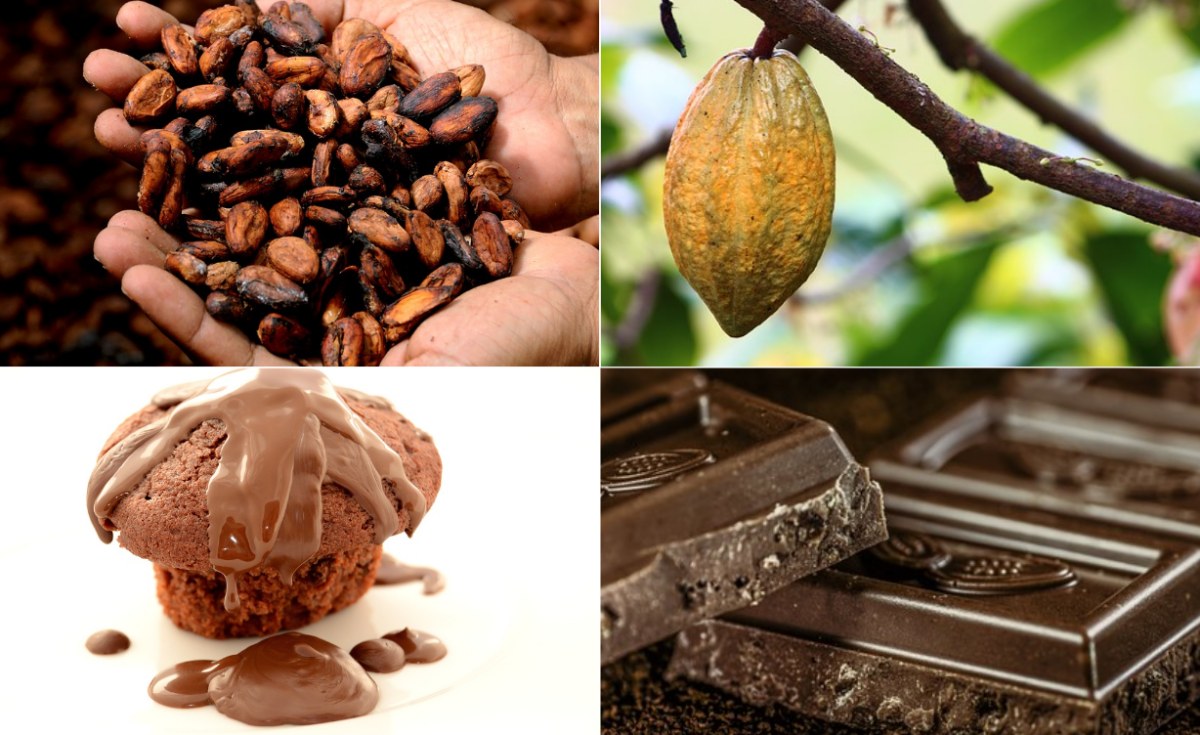 Ghana to Seal U.S.600 Million Cocoa Loan