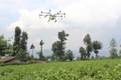 A drone sprays pesticides in a potato farm in Gataraga Sector, Musanze District.
