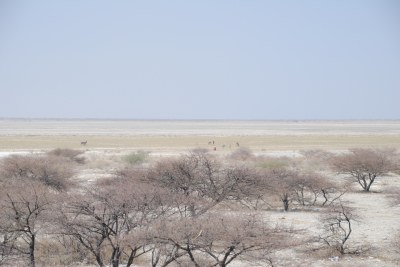 The Makgadikgadi Basin in Botswana in 2011.