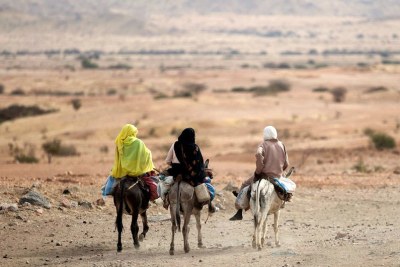 On the outskirts of El Fasher in North Darfur, women ride donkeys on the road to Khartoum, Sudan.