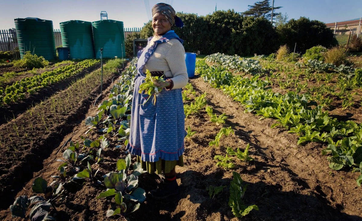 Africa: Africa Could Feed Itself - Building Resilient Food Systems