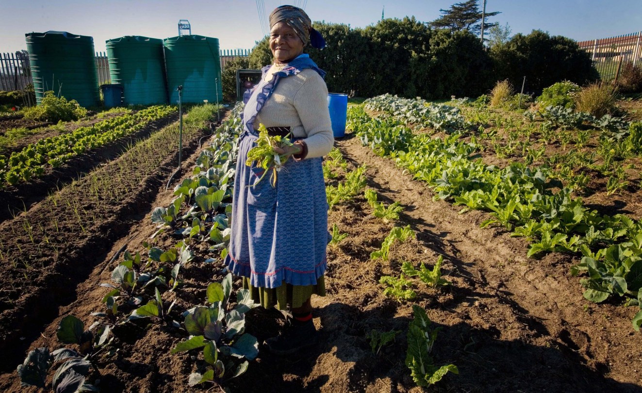 Namibia Agriculture Remains Engine Behind Economy