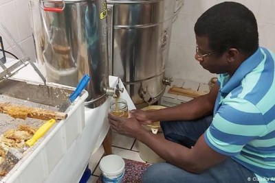 Meet Germany's 'Bee Master' From Sierra Leone