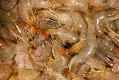 Shrimp is Cameroon’s main seafood export product (file photo).
