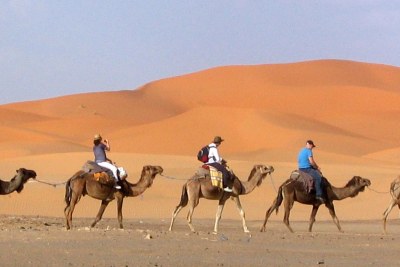 Touristes lors d'une excursion à dos de chameau dans le désert du Sahara, près du village de Mhamid El Ghezlane, au Maroc (photo d'archive).