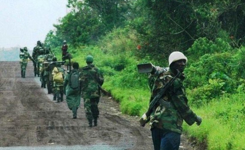 Congo Kinshasa The Humanitarian Fallout Of Dr Congos M23 Rebellion Afro News 