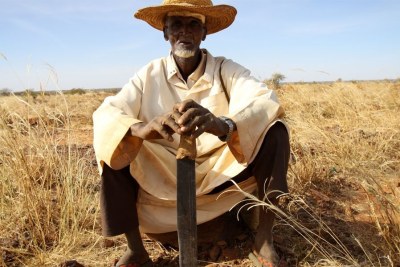 Un agriculteur nigérie, au milieu de son champ.