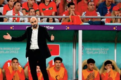 Walid Regragui, l'entraineur du Maroc et ses poulains ont redorré l'image du football africain lors du mondial Qatar 2022