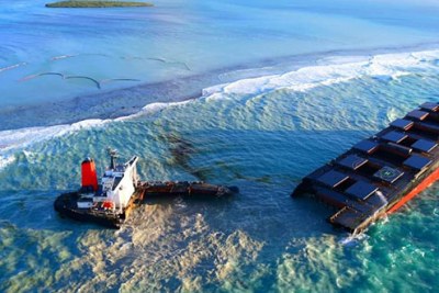 La fuite de fioul du «MV Wakashio», qui a saccagé les lagons du Sud-Est et l’écosystème marin et terrestre.
