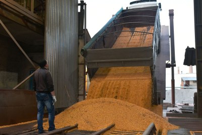 ​​​​​​Un camion décharge du maïs dans une usine de transformation en Ukraine.