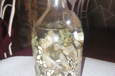 The traditional alcoholic drink called grogue with barnacles, Santiago Island, Cape Verde.